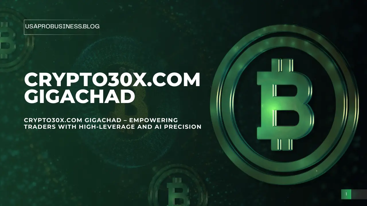 Crypto30x.com Gigachad